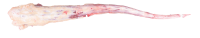imagem de Rabo bovino